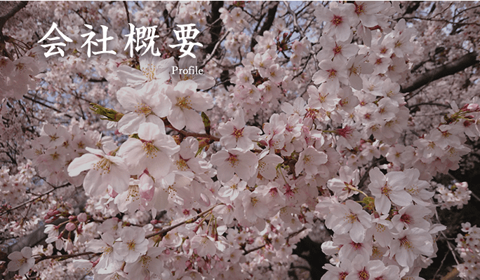 会社概要