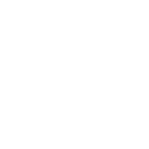 ビッグタイガーのロゴ